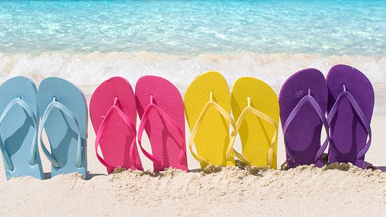 Собака с тапком на голове