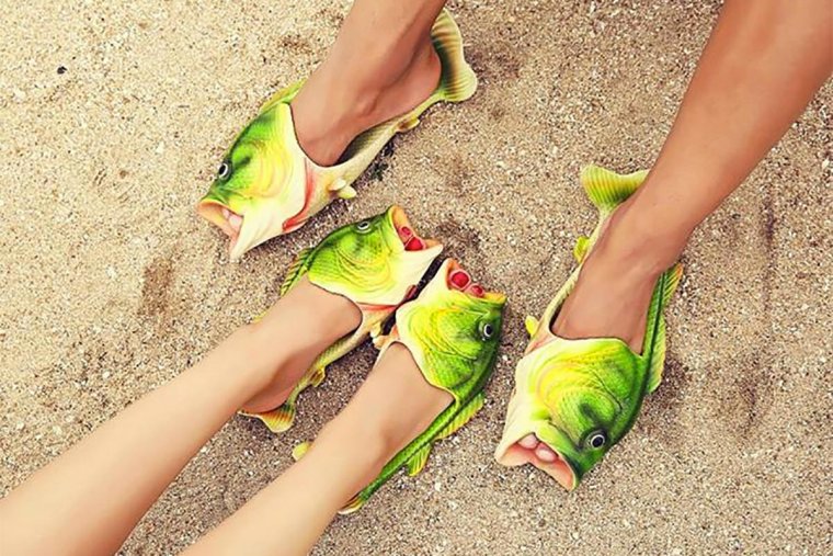 Кошка в тапочках