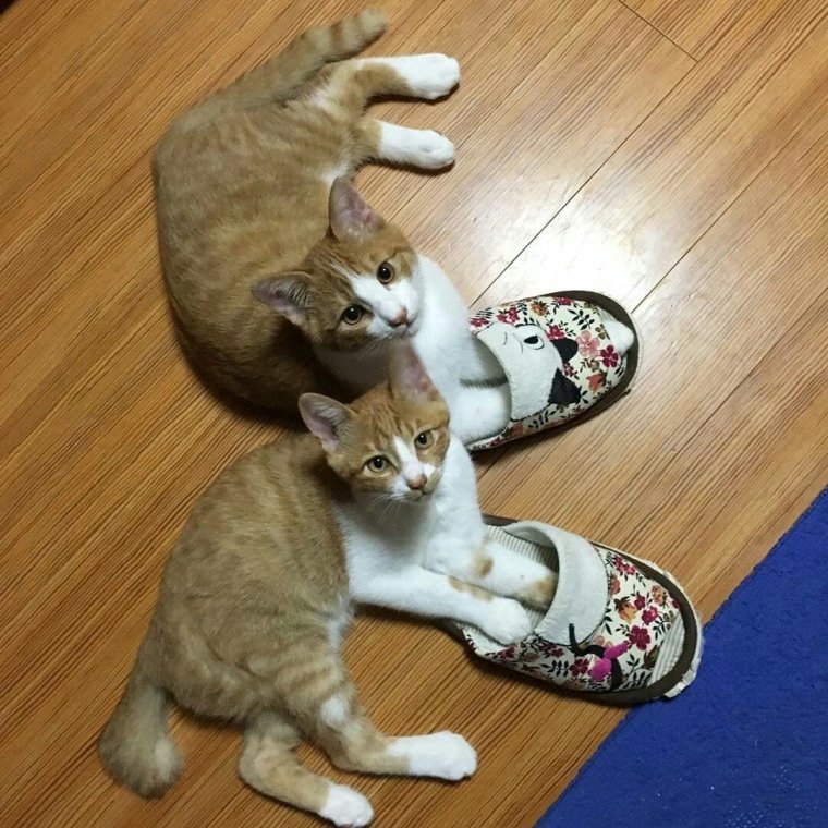 Отпуск у моря