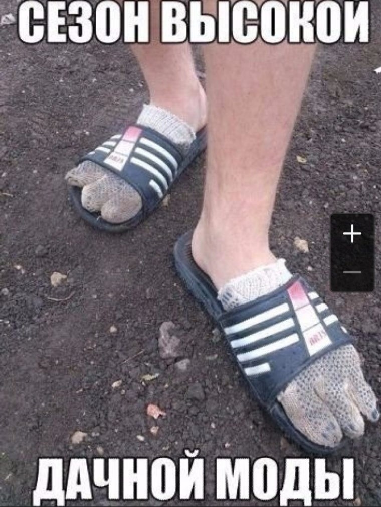 Шлёпанцы ZAXY Гарфилд