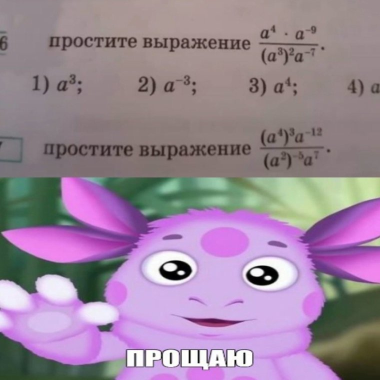 Мем про Амира