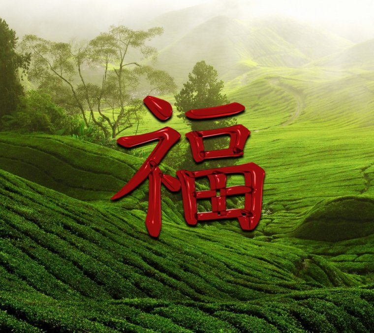 Китайский символ процветания