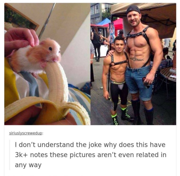 Доге и Чимс Мем