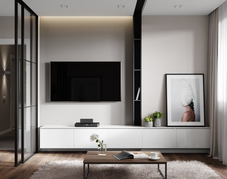 Современная телевизионная зона