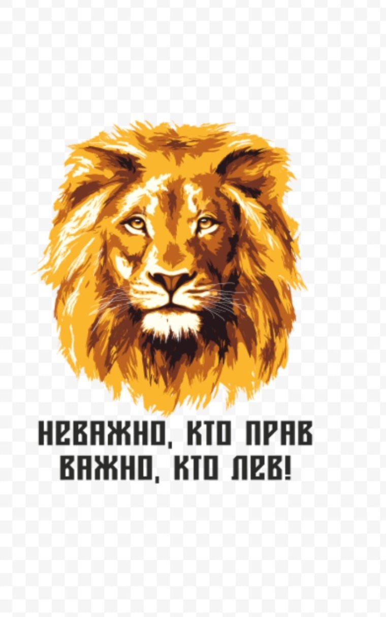 Лев и Водолей