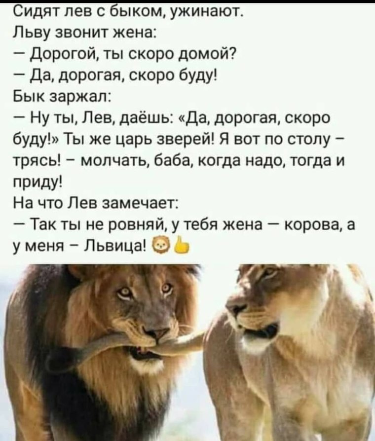 Знаки зодиака