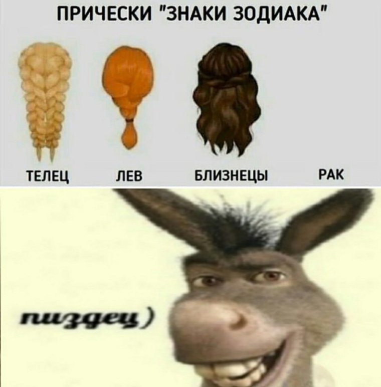 Прикольный гороскоп Лев