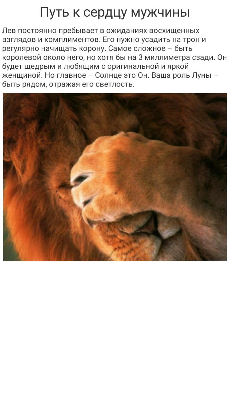 Знак зодиака Лев мужчина