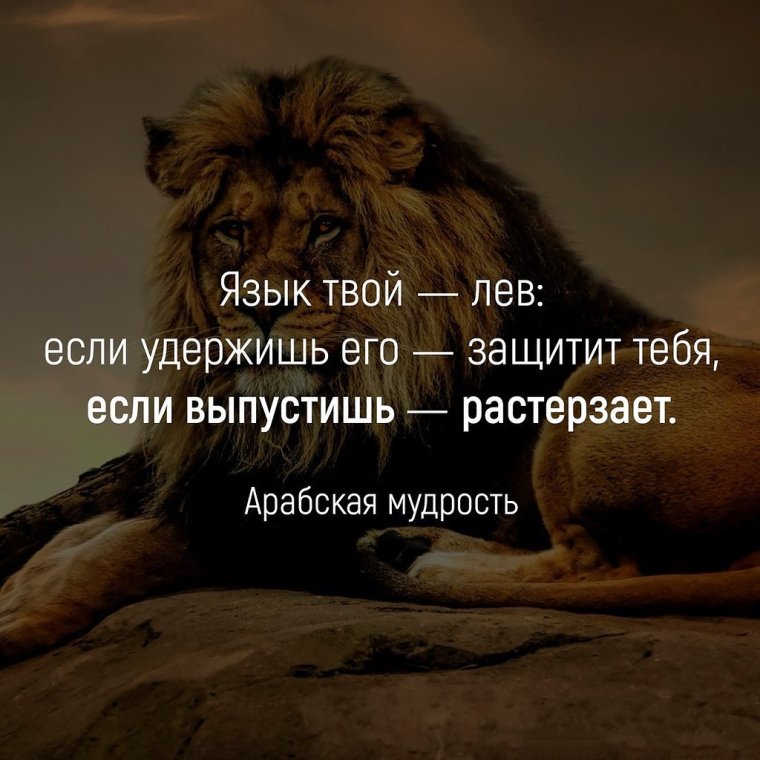 Знаки зодиака кто ты