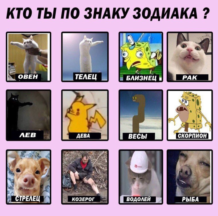 Прикольный гороскоп для всех знаков