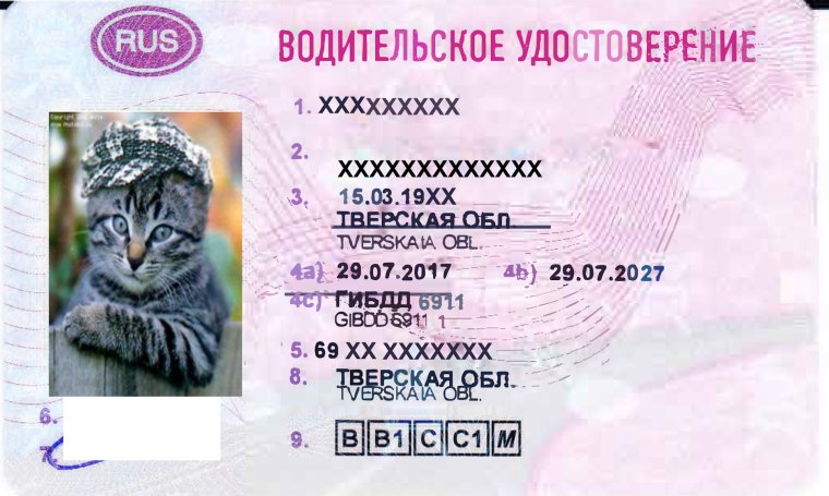 Удостоверение велосипедиста