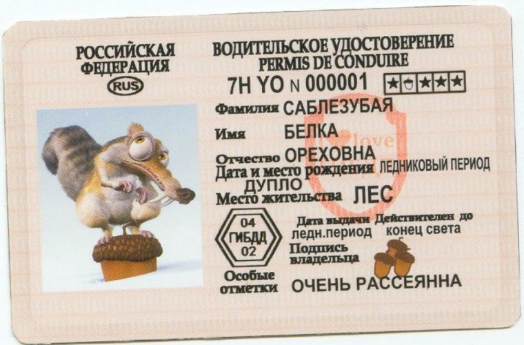 Поздравление со сдачей на права