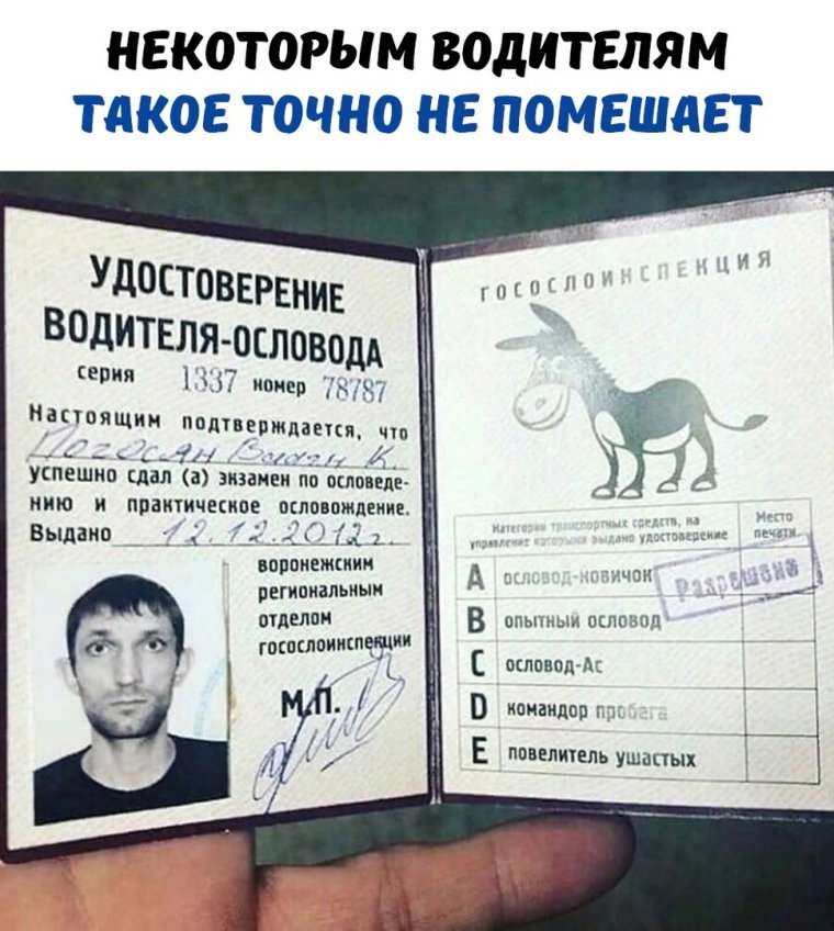 Права на вождение Тачки обложка