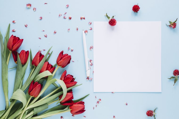 Тюльпаны фон для фотошопа