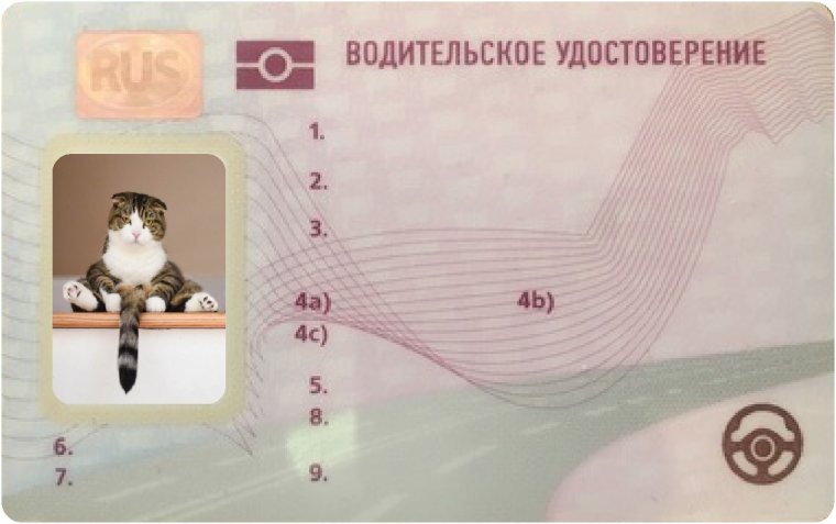 Водительские права Казахстан