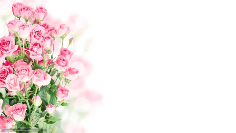 Фон с цветами для приглашения