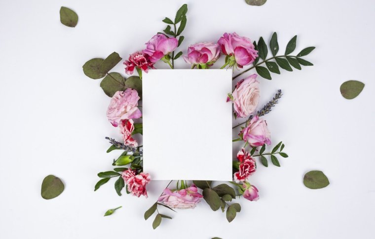 Цветочный фон Минимализм