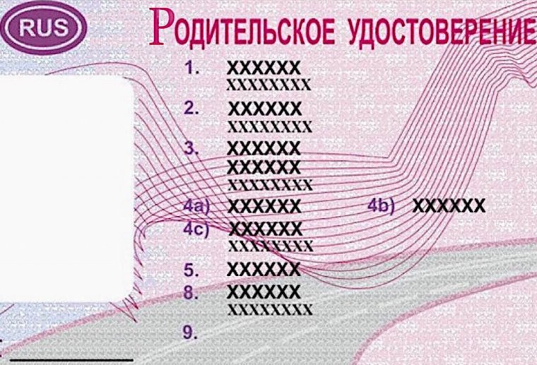 Водительские права