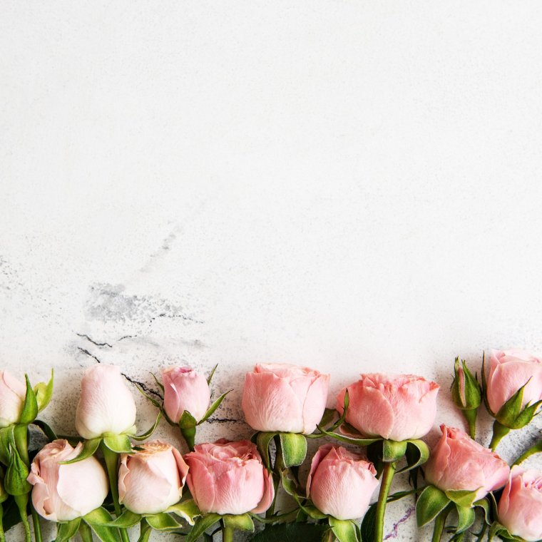 Фон для поздравления