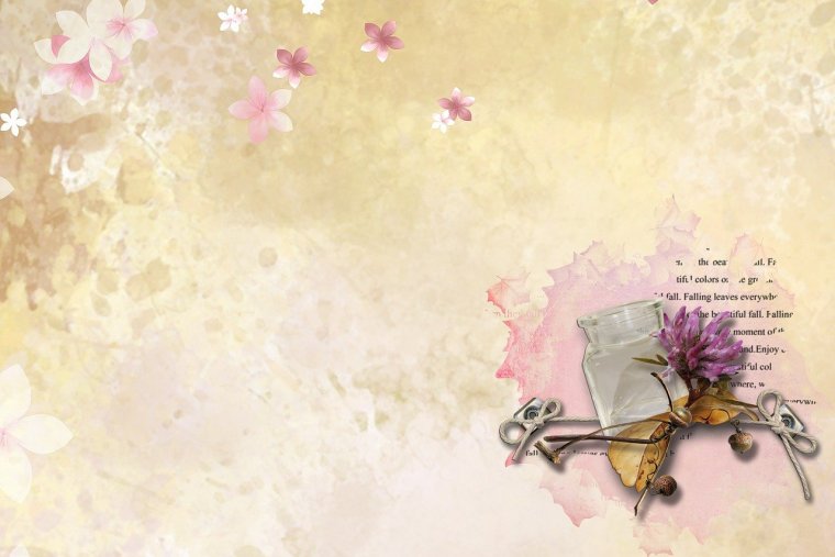 Розовые розы и подарок