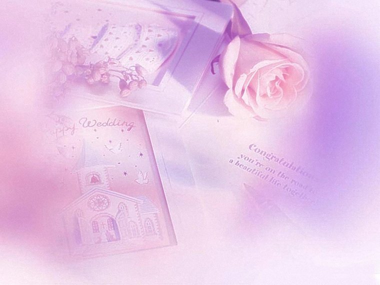 Тюльпаны фон