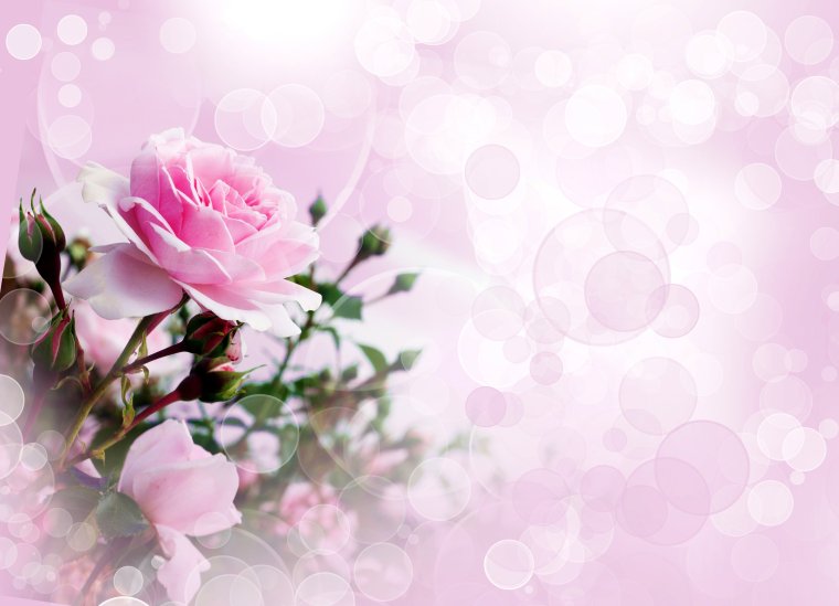 Фон для поздравительной открытки