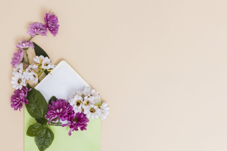 Цветы и лист бумаги