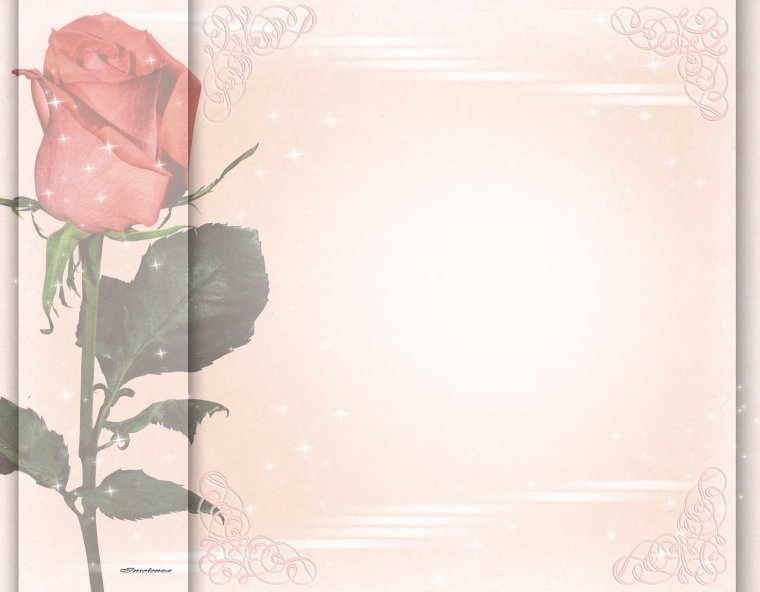 Фон с конфетами и цветами