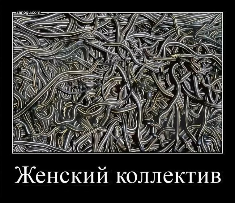 Женский коллектив