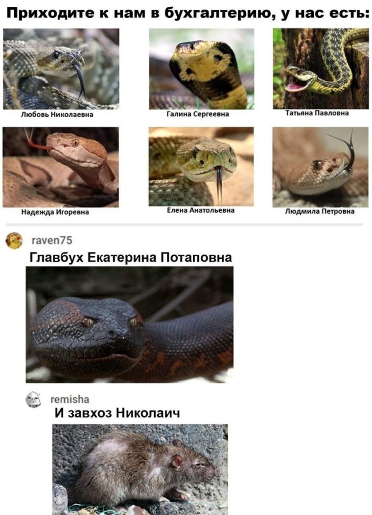 Дружный женский коллектив