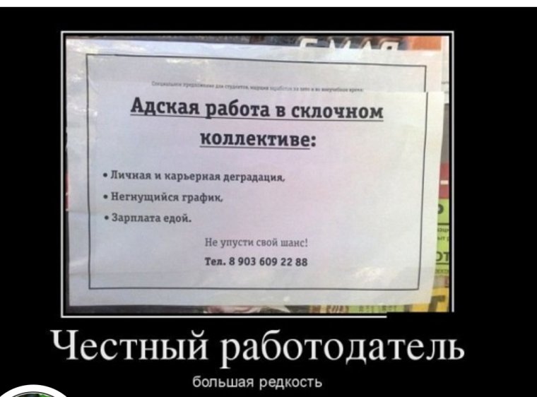 Демотиваторы про работу