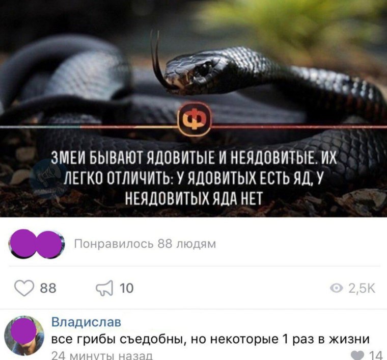 Ядовитые шутки