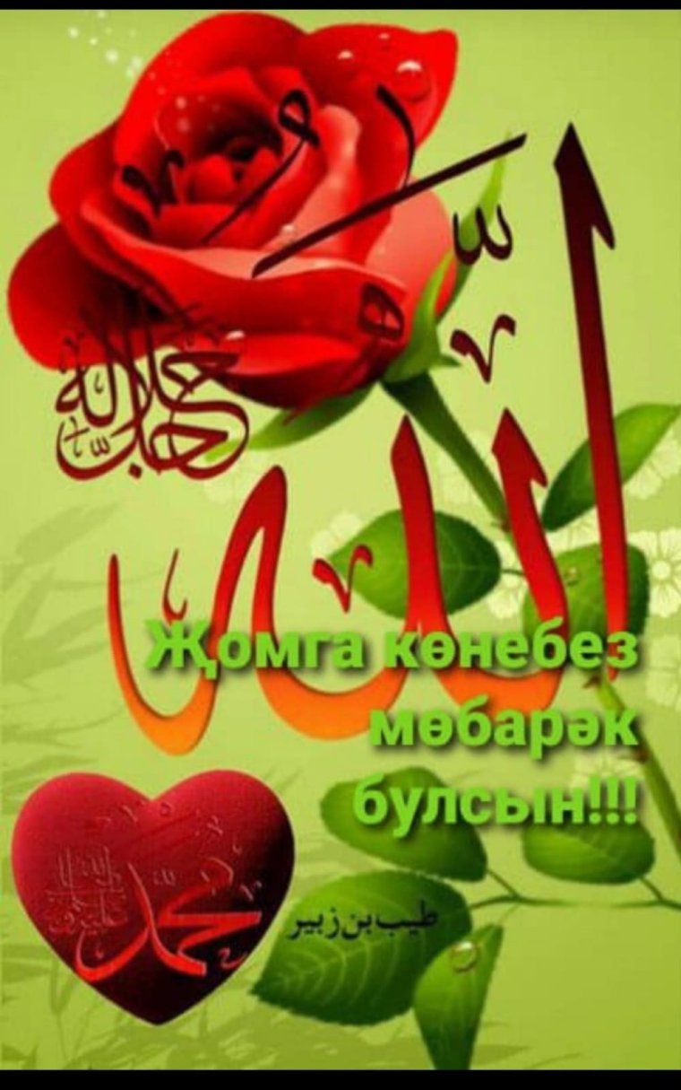 Зеленый цвет в Исламе