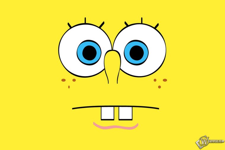 Губка Боб Боб квадратные штаны