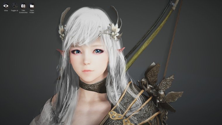 Black Desert Вендир