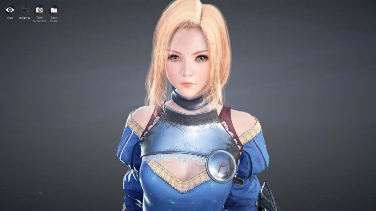 BDO Валькирия пресеты