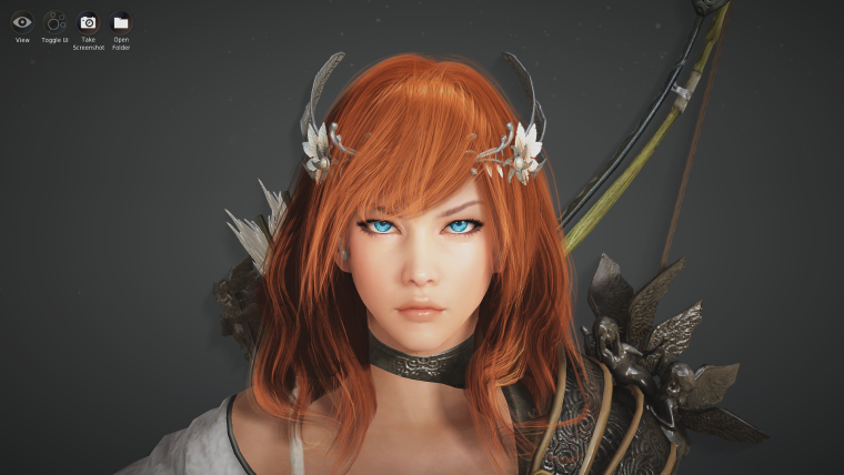 BDO Black Desert пресеты
