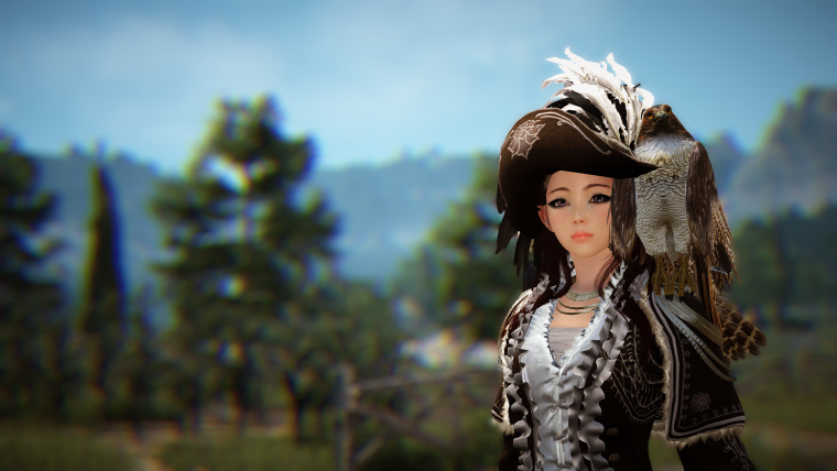 BDO Корсар пресеты