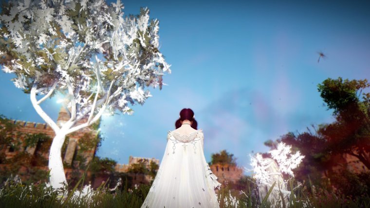 Блэк десерт свадьба