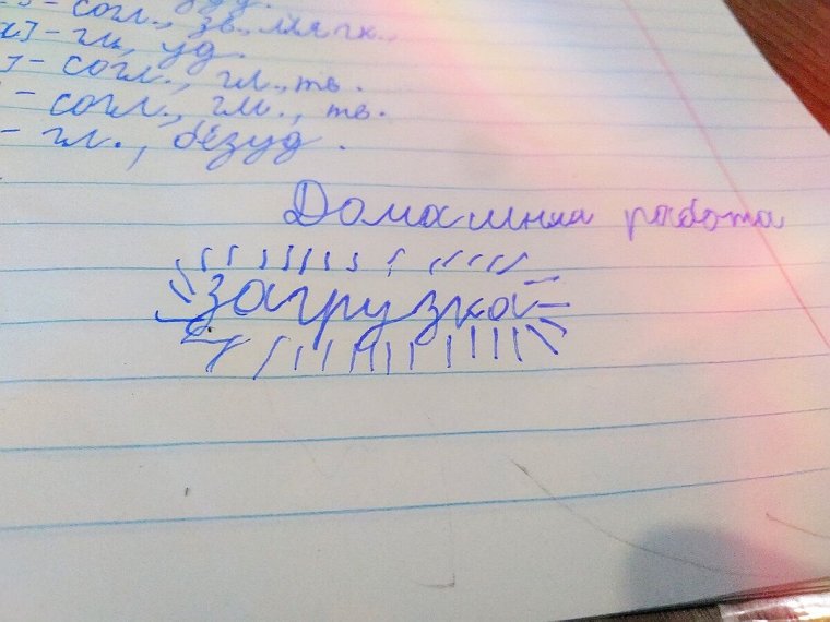 Смешные сочинения с ошибками серебряных медалистов