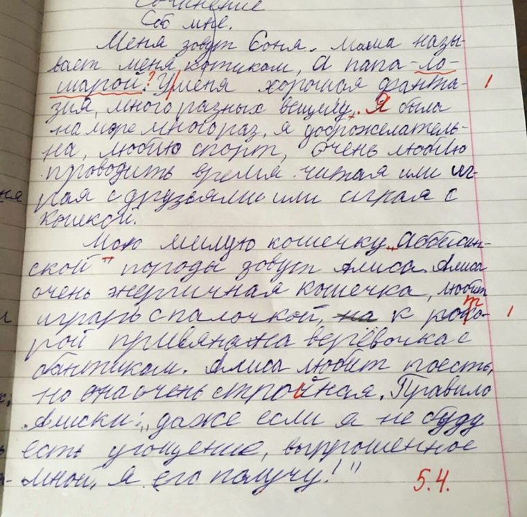 Смешные школьные сочинения детей