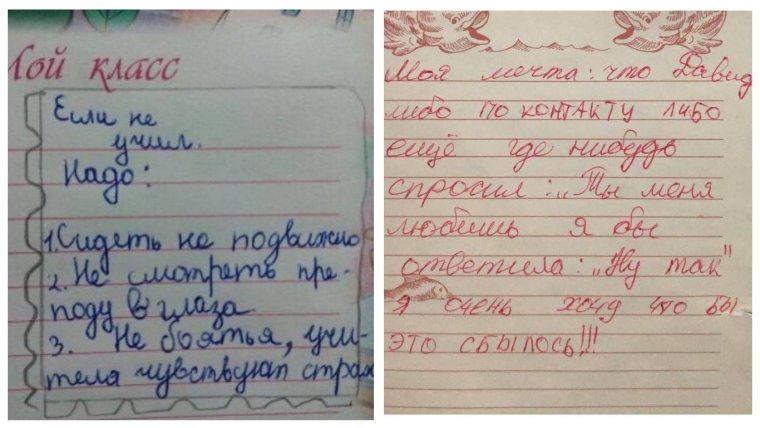 Смешные сочинения школьников