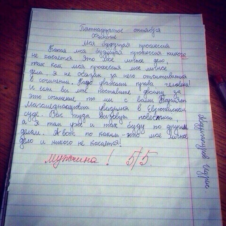 Школьные ошибки в тетрадях