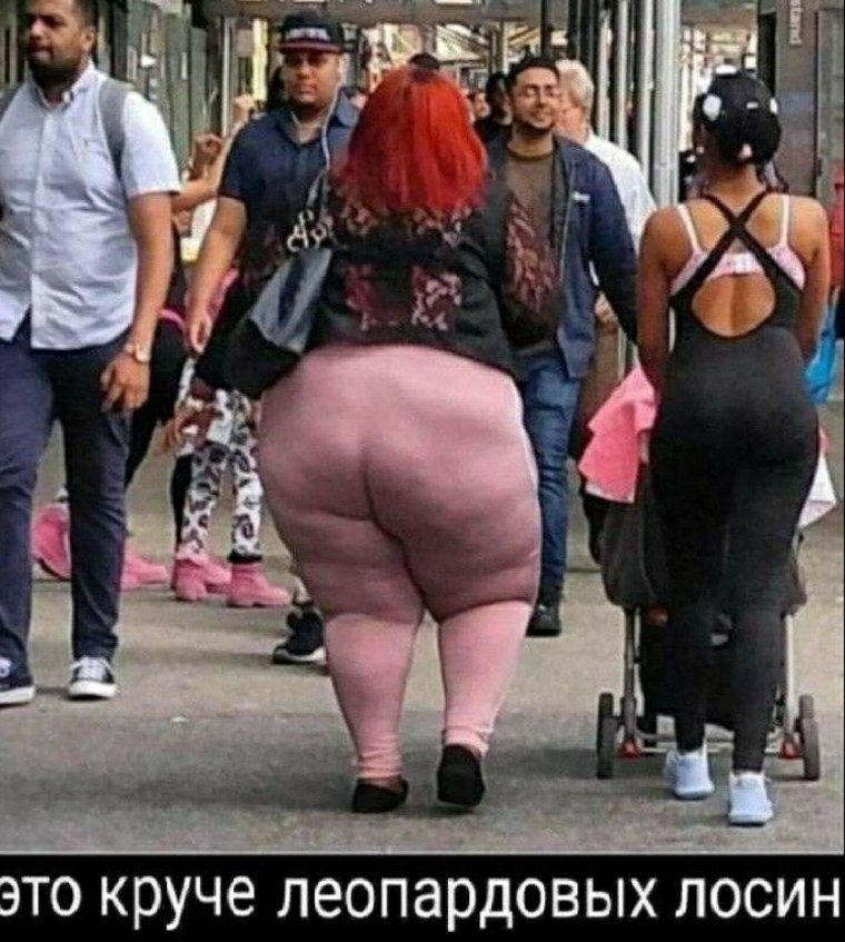Шутки про леопардовые лосины