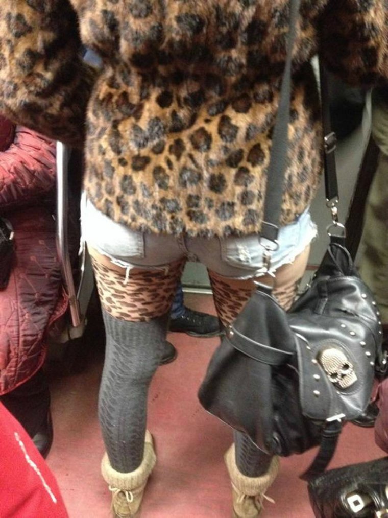 Леопардовые лосины на толстых