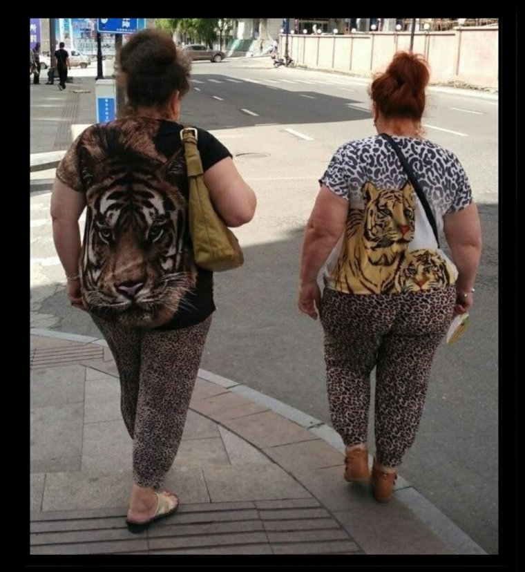 Леопардовые лосины толстуха