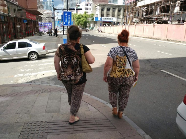 Жирные в леопардовых лосинах