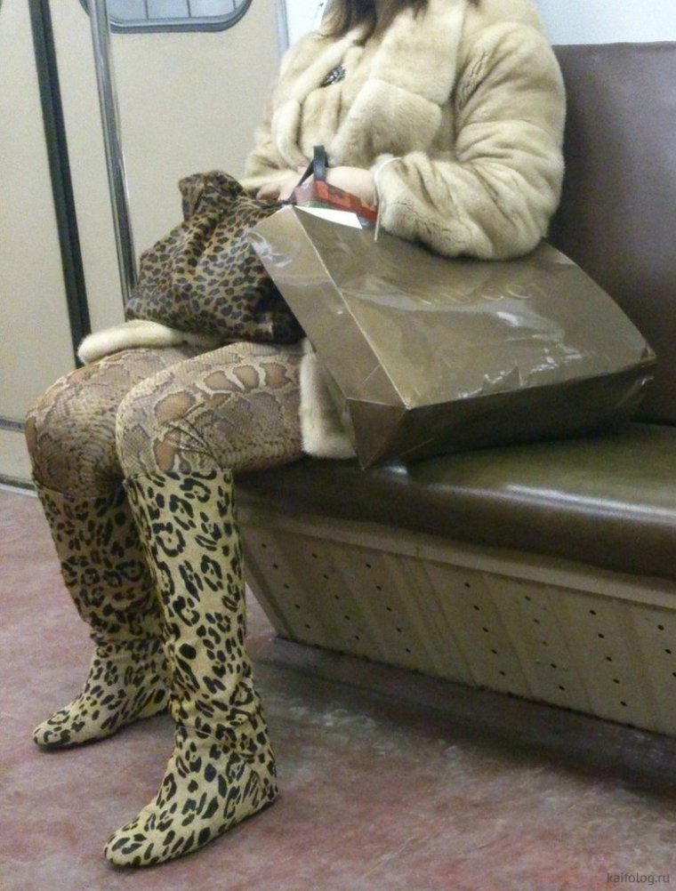 Толстые женщины в лосинах