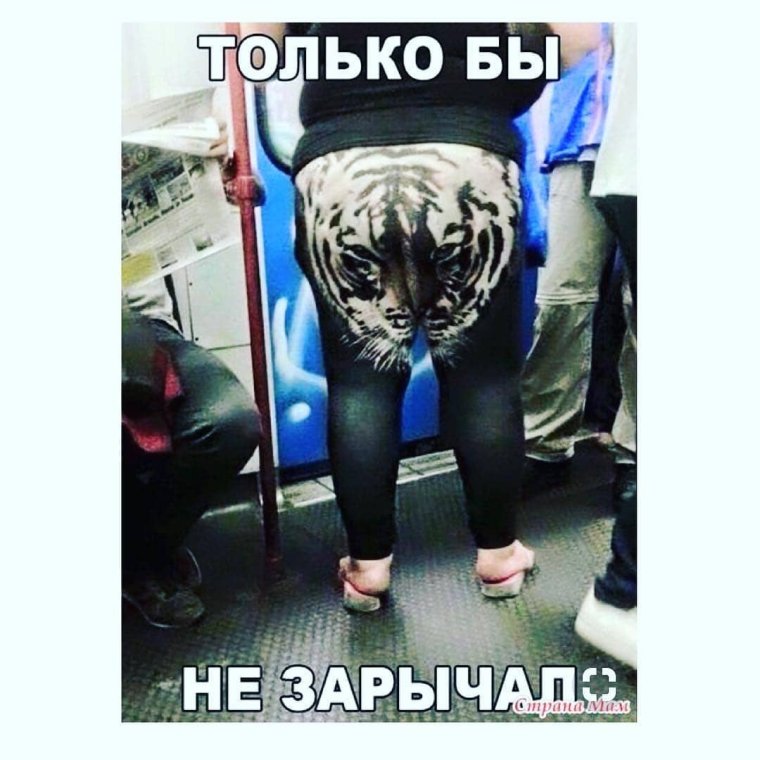 Шорты для толстых