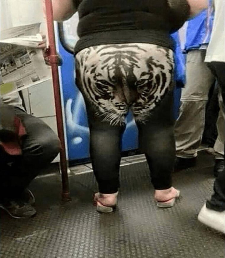 Свежие приколы